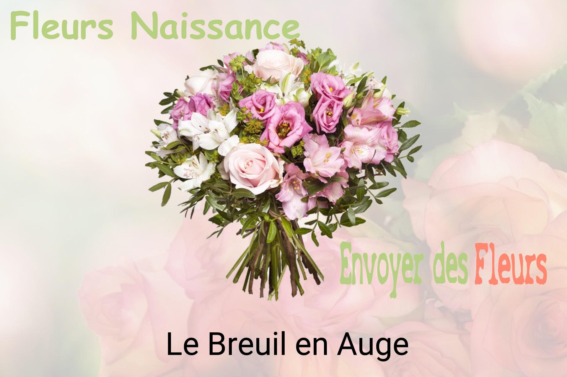 Bouquet de fleurs de naissance livré à Le Breuil-en-Auge